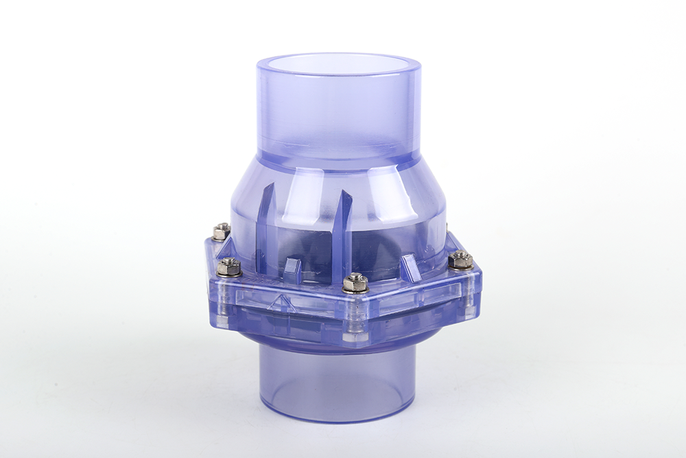 大同透明翻板式止回阀